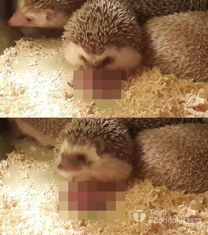 thumbimg
