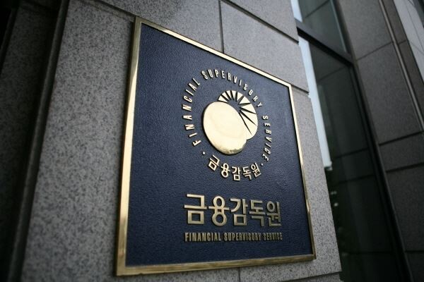 [사진 = 금융감독원]