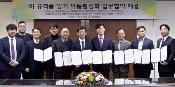 ▲MOU 체결 후 관계자들이 기념사진을 촬영하고 있다.(사진 왼쪽부터) 사과나무주식회사 백진성 대표, ㈜진심코리아 제광석 전무, ㈜탐앤탐스 장한원 이사, aT 정성남 유통이사, 한국수출딸기생산자연합회 어윤진 부회장, ㈜자연속으로 고석경 상무, (농)고마미지 김재용 대표. [사진=한국농수산식품유통공사]