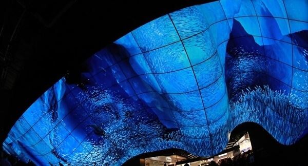 7일 업계와 외신 등에 따르면 LG전자는 11일부터 네덜란드 암스테르담에서 열리는 ISE 2020 참가를 취소했다. (사진제공=연합)