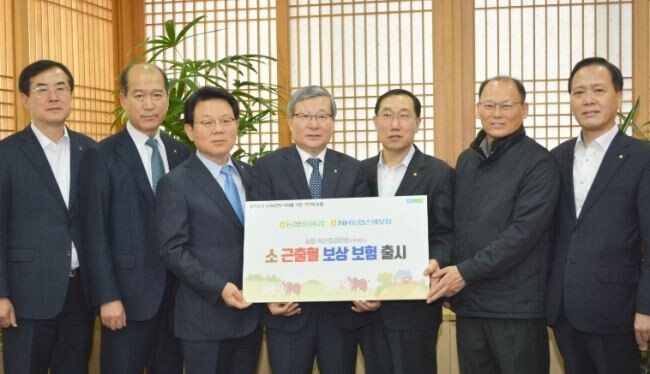NH농협금융지주와 농협경제지주는 서울 중구 본점에서 '소 근출혈 보상보험' 출시 기념행사를 열었다고 6일 밝혔다.[사진 = NH농협금융]