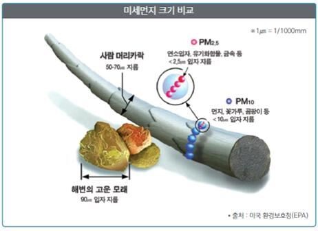 ▲미세먼지 크기비교. [사진=식품의약품안전처]