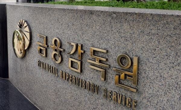 [사진 = 금융감독원]