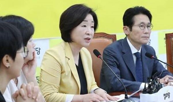 정의당 심상정 대표는 13일 전날 정부가 민간택지 분양가 상한제 확대를 발표한 것과 관련해