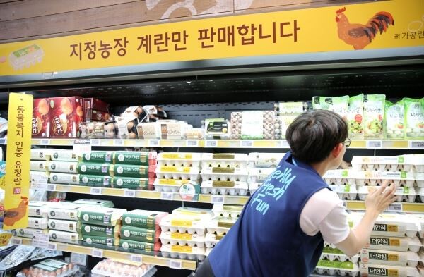 ▲GS더프레시 매장에서 직원이 계란상품을 진열하고 있다. [사진=GS리테일]
