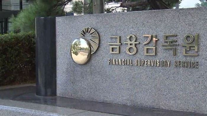 [사진 = 금융감독원]