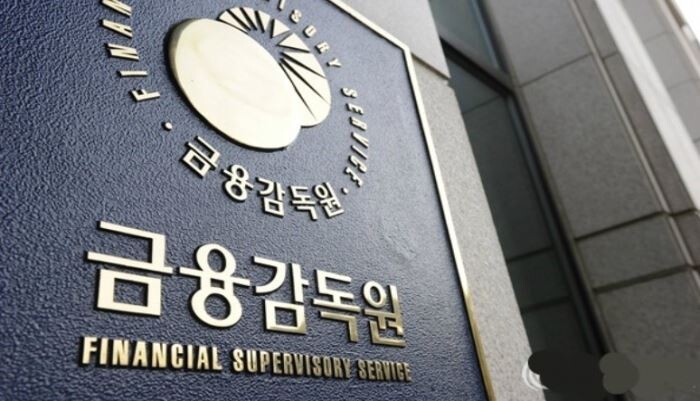 [사진 = 금융감독원]