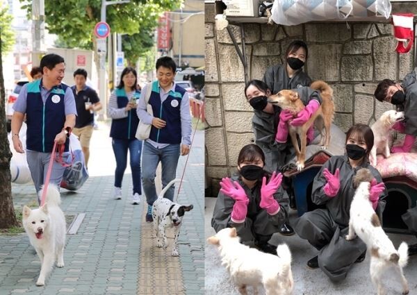 ▲GS리테일의 'GS펫러버' 봉사단이 유기견 보호센터에서 봉사활동을 진행하고 있다. [사진=GS리테일]
