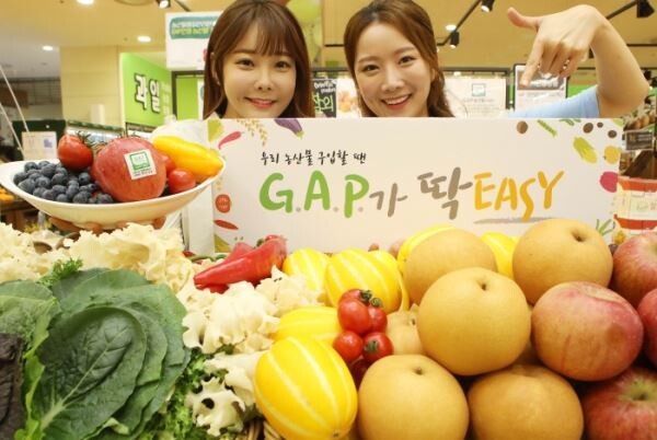 ▲롯데마트에서 GAP인증과일을 모아 기획전을 연다. [사진=롯데마트]
