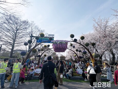 [포토짤뉴스] 여의도, ‘벚꽃 절정’ 봄꽃축제 인파 몰려